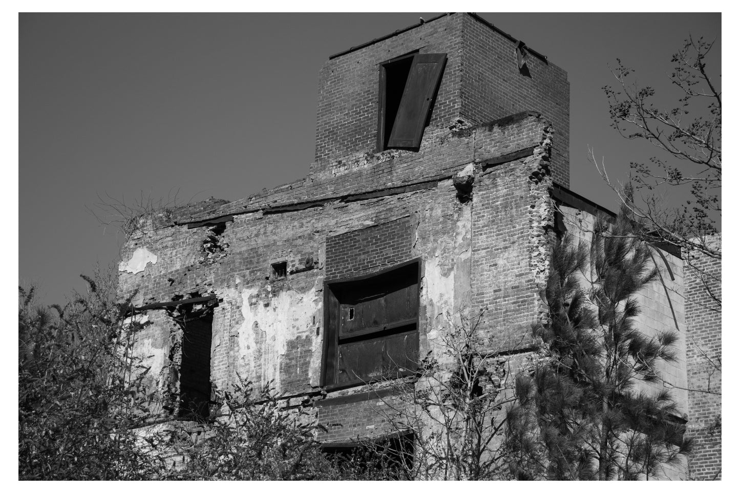 B&W Mini Gallery Wall